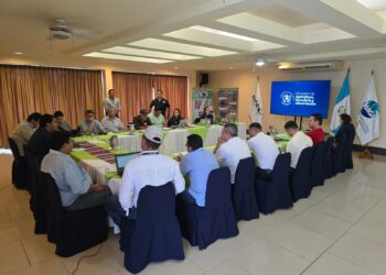 Inicia proceso para definir Plan Estratégico de Ganadería Sostenible en Petén