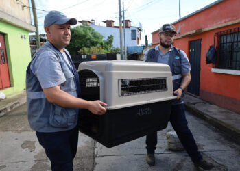 Integran mesa de trabajo por la protección de los animales en Uspantán