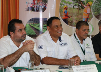 Invierten Q144 millones en incentivos forestales en Petén