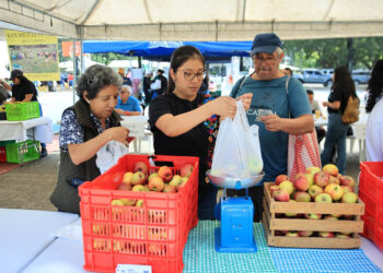 La Feria del Agricultor llega a Bárcena este martes