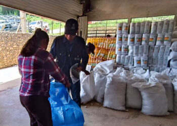 Más de 7 mil familias reciben Alimentos por Acciones