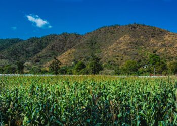 Monitorean 12 departamentos por saturación de suelos