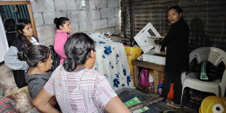 Mujeres de San Miguel Petapa optimizan capacidades en producción avícola