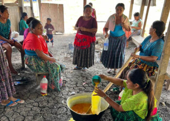 Productores de Sayaxché aprenden a elaborar caldo sulfocálcico