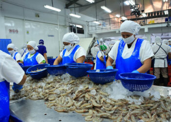 Refuerzan medidas sanitarias para exportación de camarón y miel a la Unión Europea
