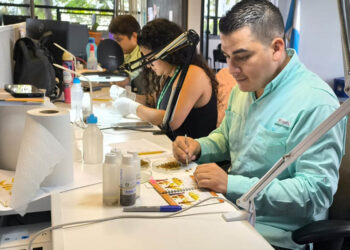 Refuerzan monitoreo de moscas de la fruta en zonas productoras de mango