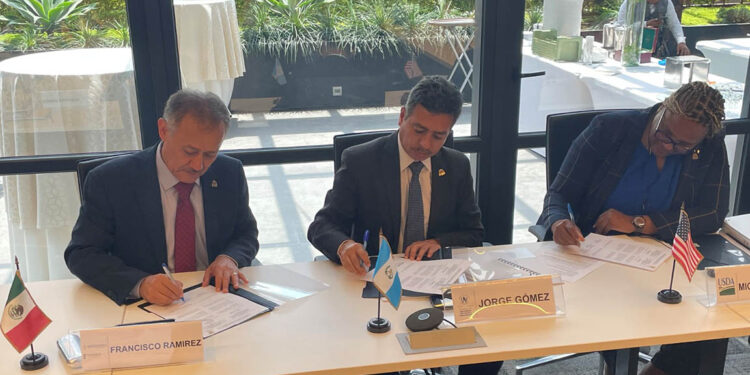 Reportan niveles más bajos de mosca del Mediterráneo en una década