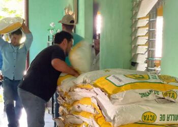 Semilla de calidad llega a productores de la región Chortí