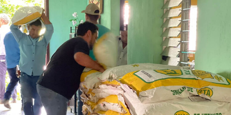 Semilla de calidad llega a productores de la región Chortí