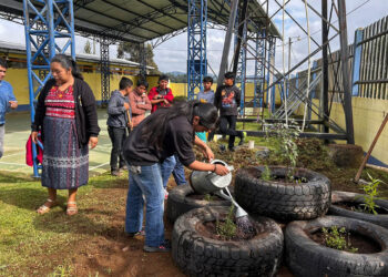 Servidoras cívicas impulsan huertos medicinales