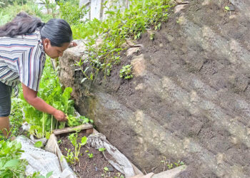 Verifican proyectos elegibles para el programa Alimentos por Acciones
