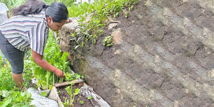 Verifican proyectos elegibles para el programa Alimentos por Acciones
