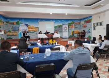 Diálogo sobre el futuro: Pueblos Indígenas y sus desafíos en el SISCODE