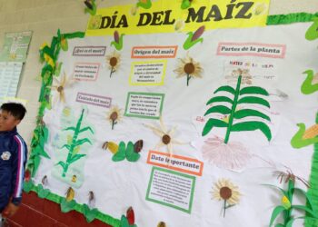 Identidad y color: Niñez de Chotacaj plasma la historia ancestral del maíz en vibrantes murales