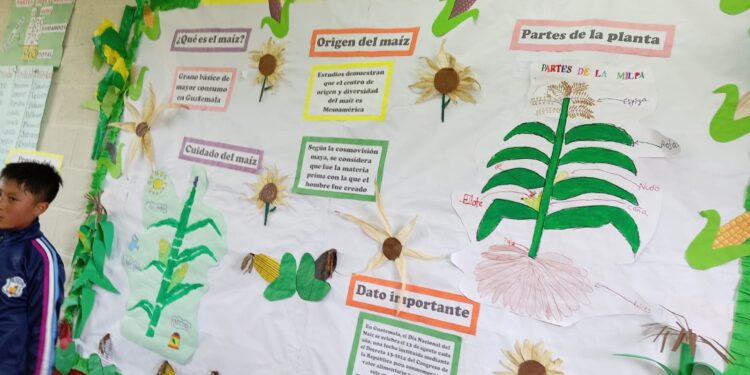 Identidad y color: Niñez de Chotacaj plasma la historia ancestral del maíz en vibrantes murales