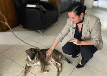 Visita de trabajo para fortalecimiento institucional de la UBA