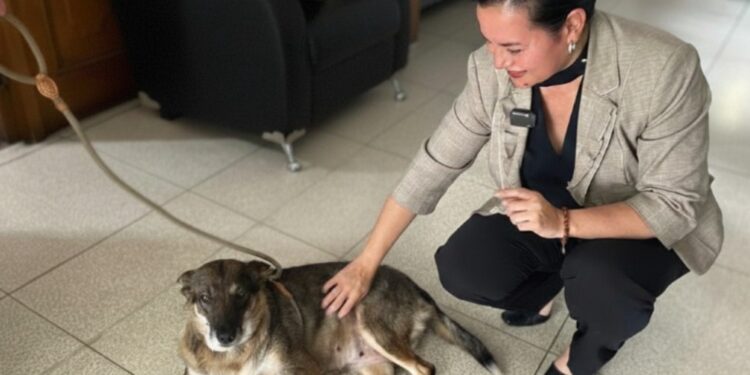 Visita de trabajo para fortalecimiento institucional de la UBA