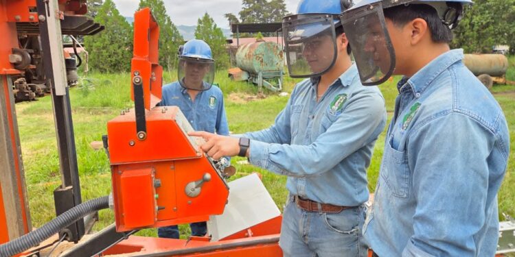 ¡Quiero ser Perito Forestal!, conozca más de la carrera y la fecha de inscripción