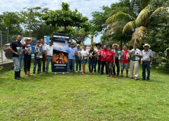 Guatemala refuerza control sanitario para frenar avance del Gusano Barrenador