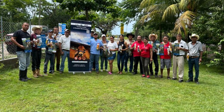 Guatemala refuerza control sanitario para frenar avance del Gusano Barrenador