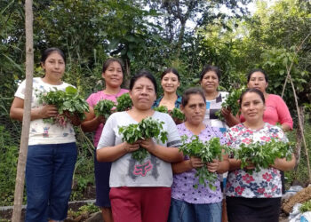 Mejoran productividad y sostenibilidad del suelo en Chiquimula