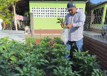 Agricultores de Melchor de Mencos reciben asistencia técnica