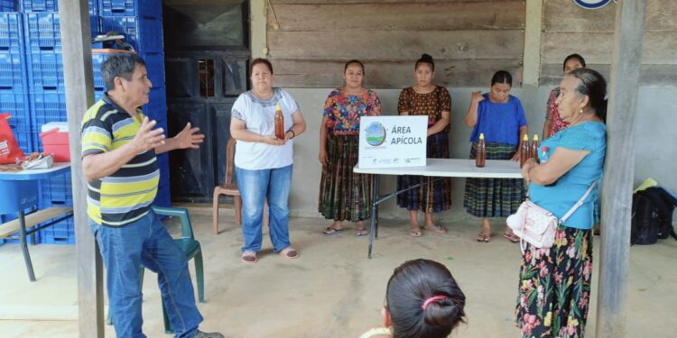 Apicultoras fortalecen capacidades para incursionar en nuevos mercados