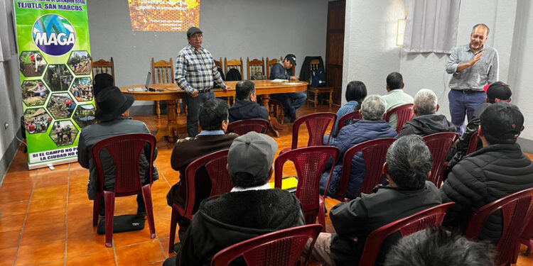 Apicultores de San Marcos aprenden de la cadena de valor del apiario