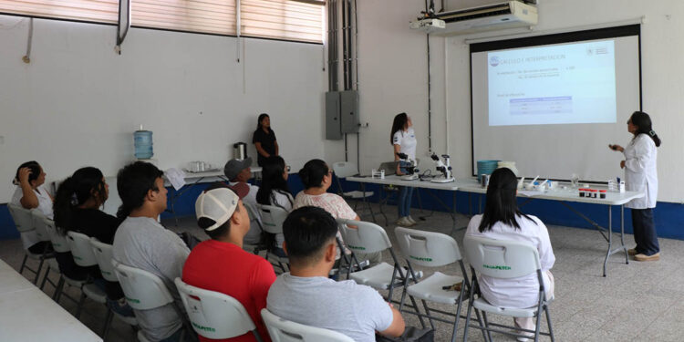 Aprenden acerca del diagnóstico de enfermedades de las abejas