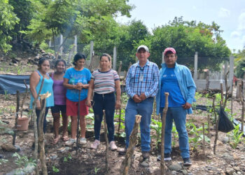 Asistencia técnica optimizan huertos escolares en Zacapa