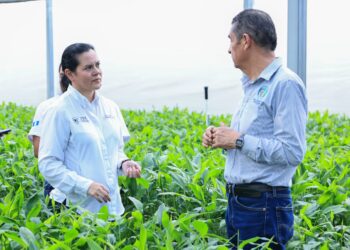 Asistencia técnica y equipamiento impulsa la economía de las cooperativas agrícolas