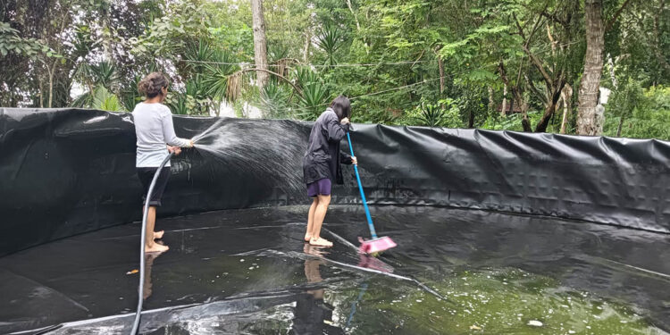 Brindan acompañamiento técnico en cosecha acuícola en Petén