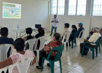 Brindan capacitación sobre manejo responsable de productos fitosanitarios