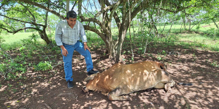 Capacitan a productores pecuarios de Champerico