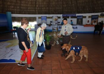 Conmemoramos Día de la Sanidad Agropecuaria con avances en la protección animal y vegetal