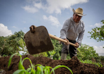 Conozca cómo el Crédito Tob’anik puede impulsar su producción