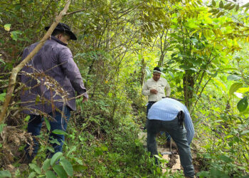 Continúa investigación de suelos para la construcción de mapa nacional