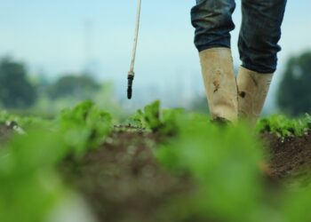 Control y regulación de insumos agrícolas fortalece la producción nacional