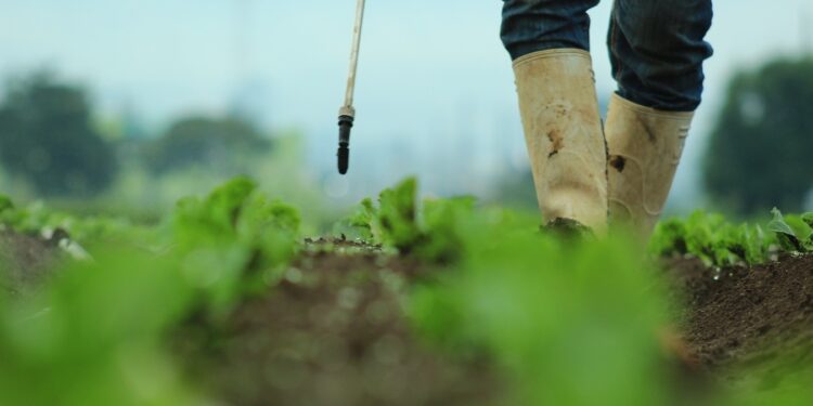 Control y regulación de insumos agrícolas fortalece la producción nacional