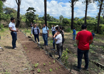 Directores de centros educativos de Santa Rosa reciben herramientas y capacitación para huertos escolares