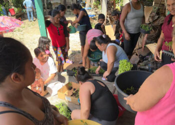 Distribuyen pilones en Dolores, Petén