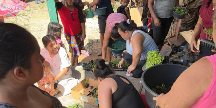 Distribuyen pilones en Dolores, Petén