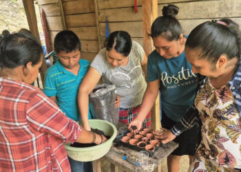 Elaboración de semilleros artesanales apoya la seguridad alimentaria