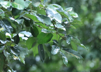 Emiten medidas preventivas en 16 departamentos del país por vulnerabilidad a lluvias