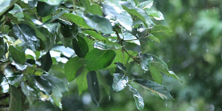 Emiten medidas preventivas en 16 departamentos del país por vulnerabilidad a lluvias