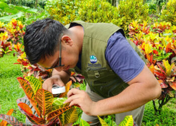 Emitidos más de 10 mil certificados fitosanitarios de exportación de productos agrícolas no procesados