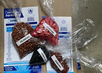 Entregan alimentos y semillas para huertos familiares en Zacapa