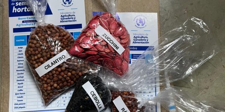 Entregan alimentos y semillas para huertos familiares en Zacapa
