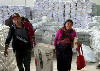 Entregan asistencia alimentaria a familias de Cabricán, Quetzaltenango