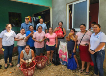 Entregan aves y cerdos a familias de San Francisco, Petén